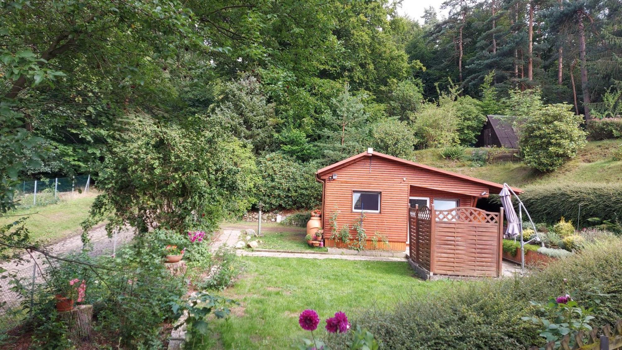 Ferienhaus In Geesthacht-Tesperhude Direkt Am Waldrand Екстериор снимка
