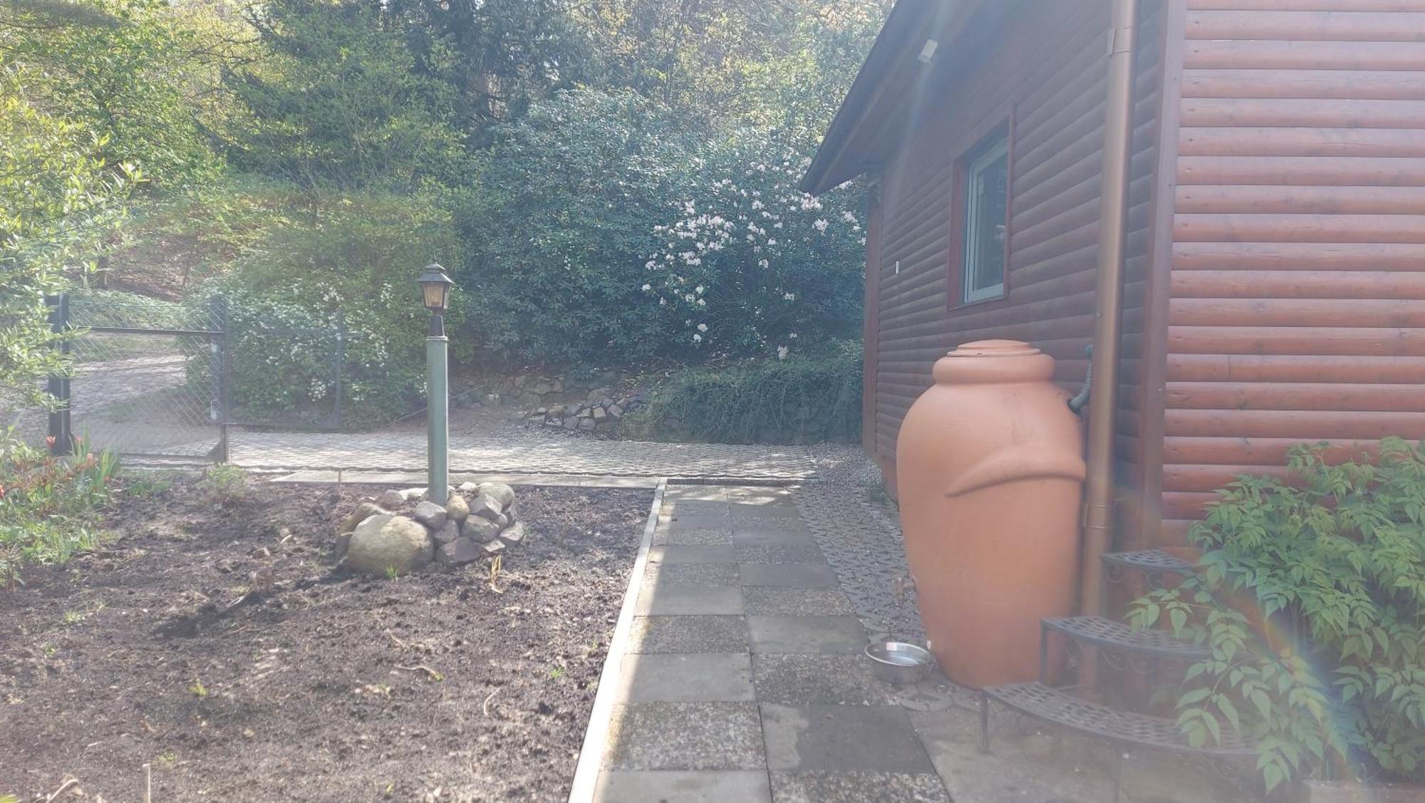 Ferienhaus In Geesthacht-Tesperhude Direkt Am Waldrand Екстериор снимка