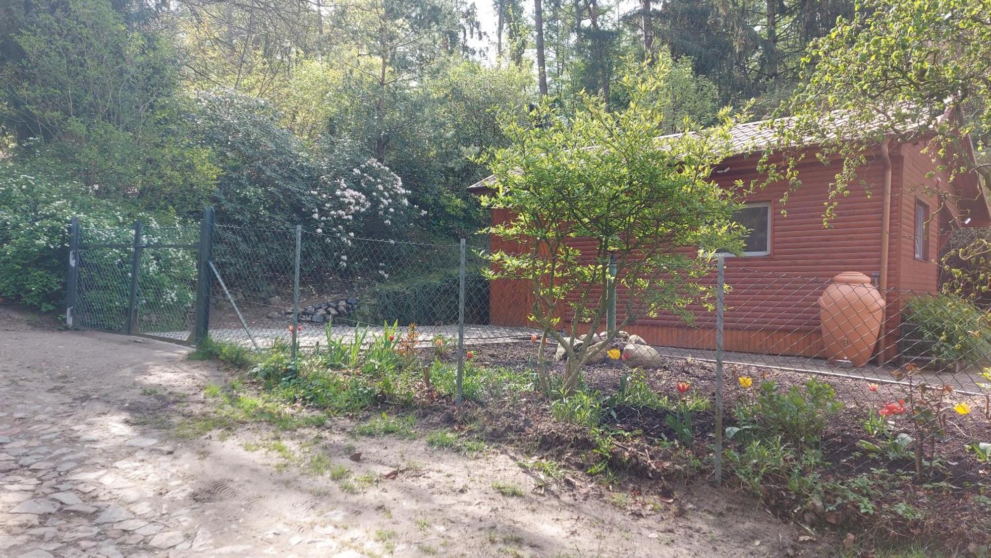 Ferienhaus In Geesthacht-Tesperhude Direkt Am Waldrand Екстериор снимка